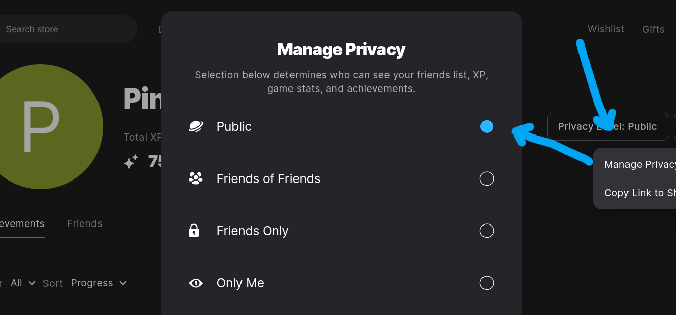 Epic Games privacy settings