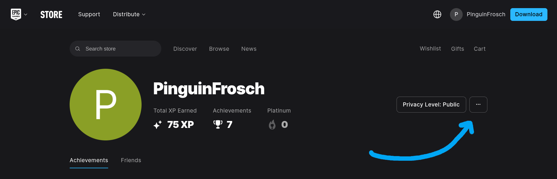 Epic Games user profile