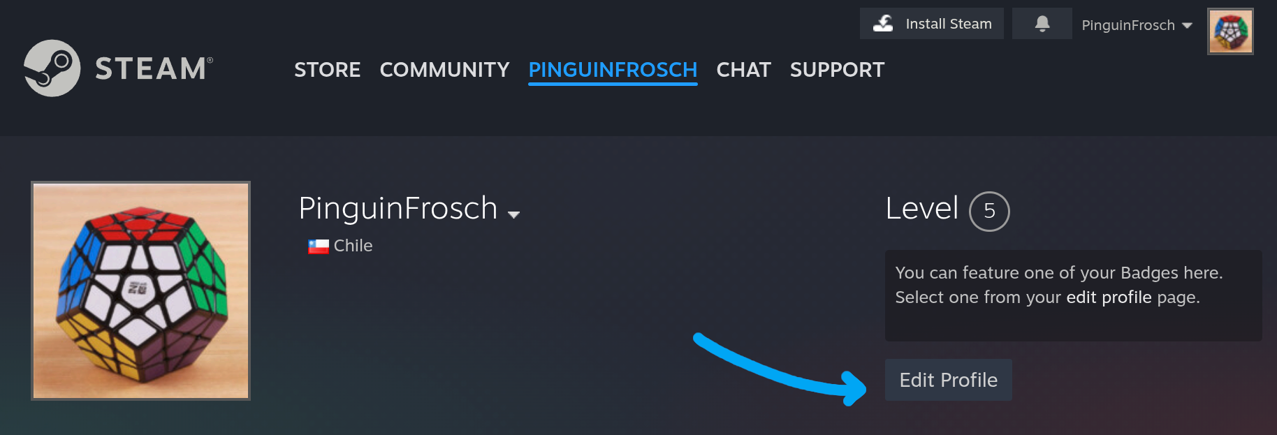 Steam Edit Profile