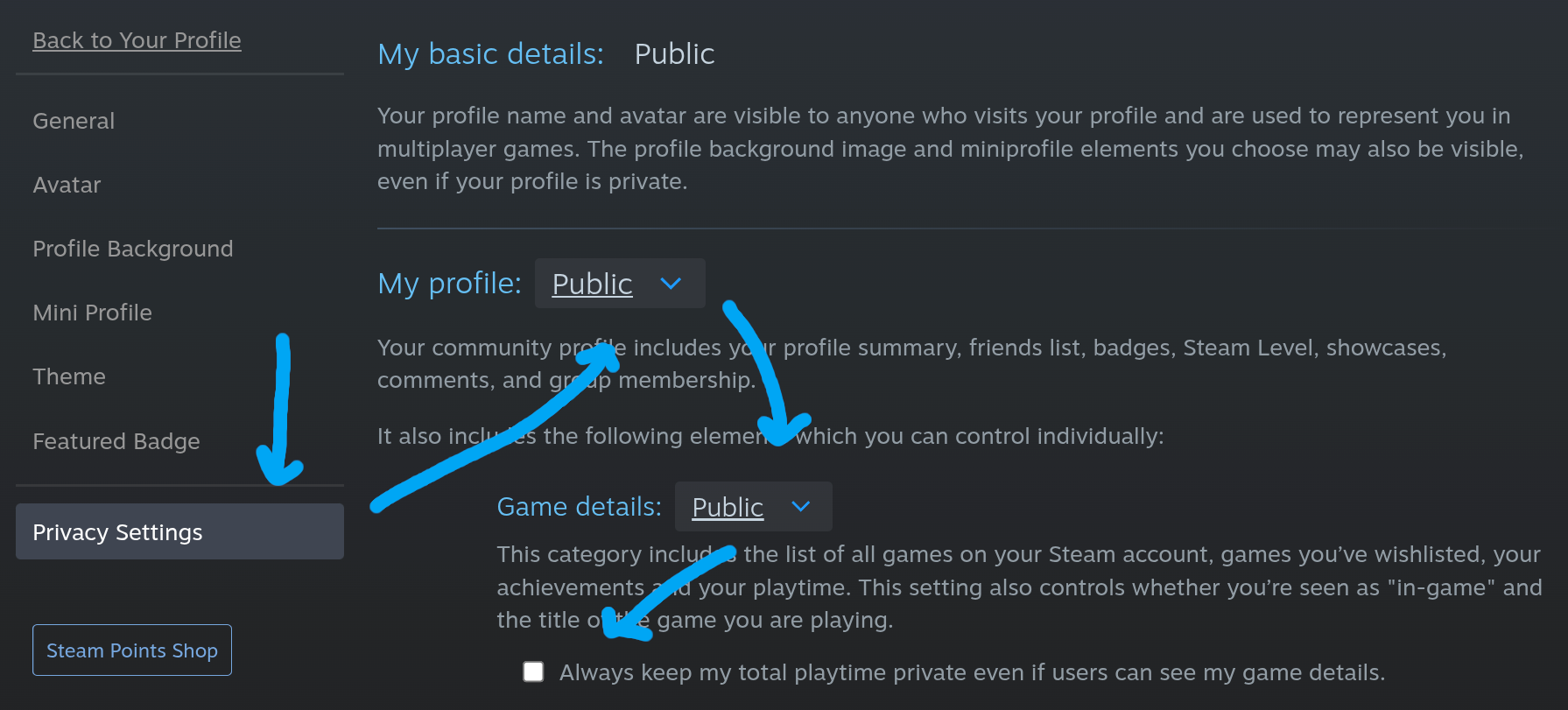 Steam Edit Profile